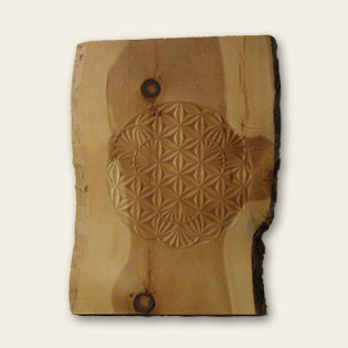 Flower of Life Variation